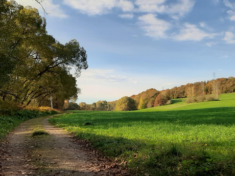 Wanderweg von Grünau nach Wiesenburg